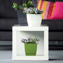 Zanvic 花盆模型。 begonya fresh quadro 附盤子，含 13.5 公分。白色的。 24/72 小時內免費送貨