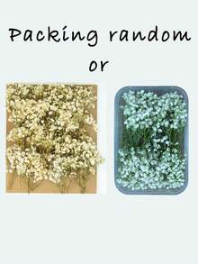 25/50/100/300 件迷你满天星花及其他干花 - 适用于树脂模具艺术工艺品，象牙白花束，可用作发饰、婚礼花环、桌花瓶、家居装饰