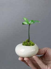 1 pezzo Vaso, ceramica creativa, mini da tavolo, adatto per piante verdi, bambù e cipresso, adatto per camera da letto, soggiorno, sala da pranzo e hotel