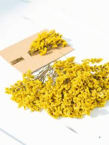 25/50/100/300 件人造白色迷你干满天星花花瓶填充物，婚礼、家居、办公室、派对、花园、卡片制作、DIY 装饰