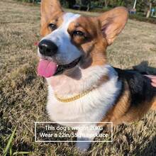 1pc Sparkling Faux Diamond Cuban Chain Dog Collar | Adjustable Puppy Necklace For Puppies And Cats | Luxury Pet Jewelry Gifts For Weddings/Birthdays/Christmas | Stylish Shiny Pet Accessories - Gold - View 6