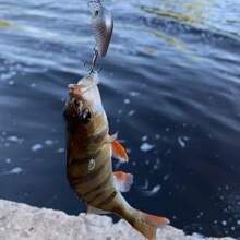 1/8/15pcs Crankbait Minnow Fishing Lure Set, Floating Artificial Lure Topwater Baits