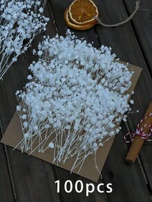 25/50/100/300 件迷你满天星花及其他干花 - 适用于树脂模具艺术工艺品，象牙白花束，可用作发饰、婚礼花环、桌花瓶、家居装饰
