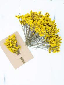 25/50/100/300 件人造白色迷你干满天星花花瓶填充物，婚礼、家居、办公室、派对、花园、卡片制作、DIY 装饰