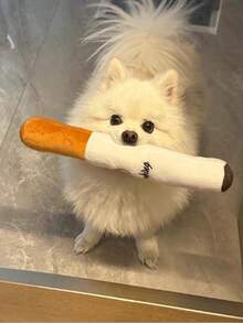 适合小型/中型犬、柯基犬、拉布拉多犬的毛绒发声咀嚼玩具，宠物自娱自乐用品