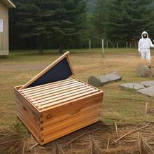10 Frame Bee Hive Coated With Beeswax Wood Complete Beehive Kit Includes 1 Deep Box Bee Box With Beehives Frames And Wax Foundations Wax Coated Bee Hives For Beginner - Deep Box - 查看 7