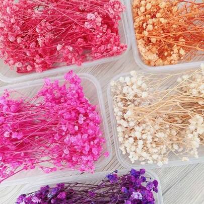 علبة واحدة من سيقان أزهار نفس الطفل الصغيرة المتبقية، أزهار نفس الطفل الطبيعية، ديكور الزفاف، بطاقات المناسبات