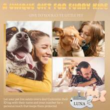 1PC Fish-Shape Dog Cat Personalized Pattern & Name Pet Tags - Double Sided Engraved Pet Name Tags For Pets Double Sided Stainless Steel Pet Id Tags - Multicolor - View 4