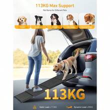 Dog Stairs & Steps - Gris1 - Ver 3