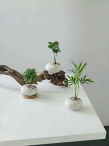 1 pezzo Vaso, ceramica creativa, mini da tavolo, adatto per piante verdi, bambù e cipresso, adatto per camera da letto, soggiorno, sala da pranzo e hotel