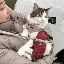 猫背带和牵引绳套装、带反光条的透气网眼宠物背心背带、适合小型猫的可调节步入式背带（粉色图案）、猫弹簧玩具、带铃铛的猫项圈