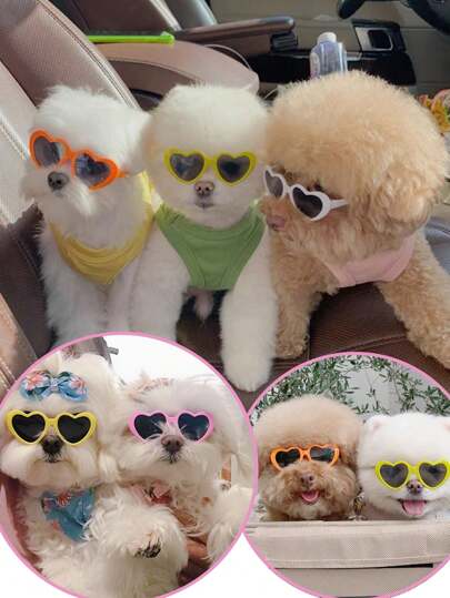 Pet Sunglasses - Fun Photo Props For Small Dogs And Cats, Cute Accessories For Cat And Dog Sunglasses, Only Suitable For Small Dogs And Cat Photography Decoration, Opaque Lenses - Fun Pet Supplies