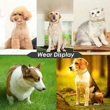 1pc Sparkling Faux Diamond Cuban Chain Dog Collar | Adjustable Puppy Necklace For Puppies And Cats | Luxury Pet Jewelry Gifts For Weddings/Birthdays/Christmas | Stylish Shiny Pet Accessories - Gold - View 9