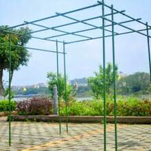 Set da 10 pezzi di sostegni da giardino di alta qualità e durevoli, con anima in metallo e rivestimento, anticorrosione, facili da inserire, adatti per varie piante, frutti, verdure, essenziali per il giardino di casa
