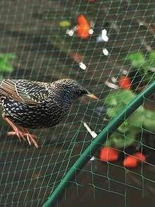 1pc Bird Netting For Garden Protect Vegetable Plants And Fruit Trees, Plastic Trellis Netting For Birds, Deer, Squirrels And Other Animals - Multicolor - View 6