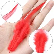 100Pcs Natural Chicken Feathers 4-6inch Beautiful Rooster Plumas For Jewelry Making Crafts Accessories Carnival Decoration True Plumes