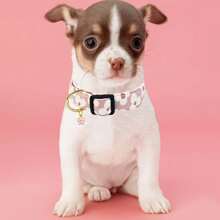 Soft & Comfortable Floral Print Pet Dog Collar With Small Flower Pendant, Adjustable Washable Cute Dog Necklace