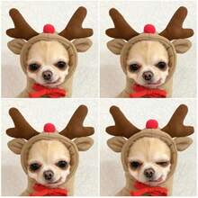Warm Dog Winter Clothes Cute Fruit Dog Coat Hoodies Fleece Pet Dogs Costume French Bulldog Chihuahua Ropa Para Perro(Green,XS) - 咖啡 - 查看 2