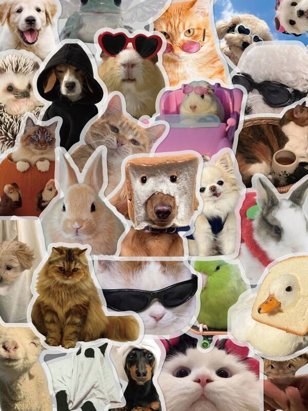 50pcs Funny Little Animals Stickers Pet Transparent Stickers Used For Laptop Skateboarding Organizer Cover Decoration Can Be A Gift For A Good Friend,School Supplies,Back To School