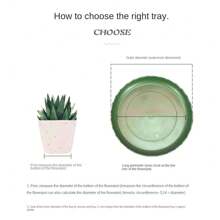 10pcs Garden Plant Saucer Plastic Clear Drip Tray Round Flower Pot Base Snack Container Desktop Trash Storage