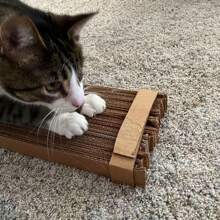 Taglierina per tiragraffi per gatti in cartone - Strumento creativo fai-da-te per animali domestici per tagliare facilmente, design in plastica blu, perfetto per giocattoli e mobili fatti a mano per gatti