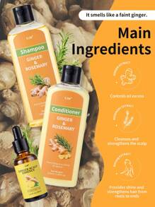 Champú y acondicionador de esencia de jengibre y romero, extracto de plantas para nutrir el cabelludo, control del aceite, cabello esponjoso y voluminoso, con extractos de jengibre, romero y panax, adecuado para todo tipo de cabello, suave y no irritante
