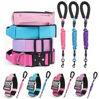 Collier et laisse tactique en nylon pour chien, couleurs vives, robuste avec boucle et anneau en métal, réglable, parfait pour tous les tailles de chiens, utilisation extérieure, promenade, course