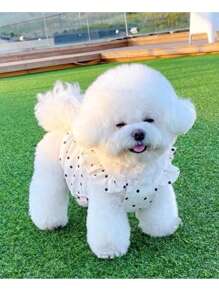 1pc White Polka Dot Ruffled Pet Dog Dress, Summer Outfit For Dogs & Cats, Puppy Clothes