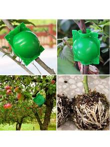 5/10/20 件植物根系生长盒，花园植物生根球孵化器，树木嫁接生根装置，植物快速生长空气压条箱 - 彩色 - 查看 5