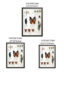 1 个 8 英寸 10 英寸 A4 暗盒相框，3D 展示盒木制相框 5 厘米深桌面墙壁相框，适用于纪念品、婚礼纪念品、工艺品、门票、照片