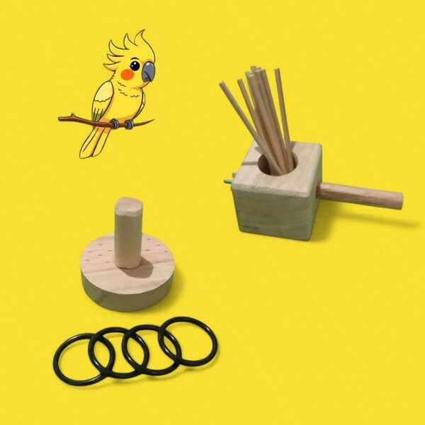 Kit Brinquedos Para Pássaros