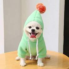 Warm Dog Winter Clothes Cute Fruit Dog Coat Hoodies Fleece Pet Dogs Costume French Bulldog Chihuahua Ropa Para Perro(Green,XS) - 綠色 - 查看 2