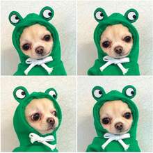 Warm Dog Winter Clothes Cute Fruit Dog Coat Hoodies Fleece Pet Dogs Costume French Bulldog Chihuahua Ropa Para Perro(Green,XS) - 咖啡 - 查看 9