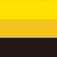 Yellow Stripe Warning Runway