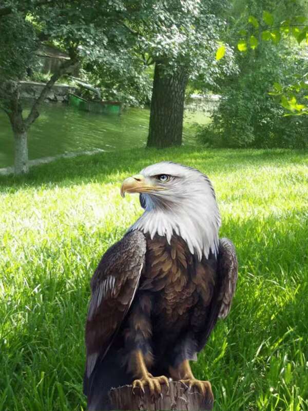 Outdoor Yard Art Fierce Eagle Lawn/Garden Stake, Lawn/Patio Decor