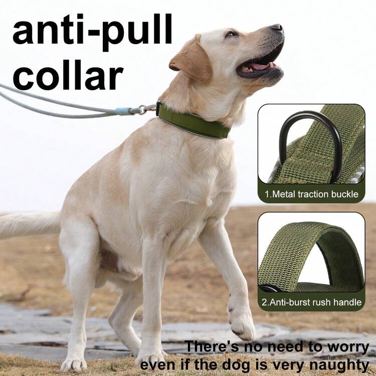 反光狗项圈，防逃跑，适用于中大型犬，方便抓握 - 卡其色 - 查看 2