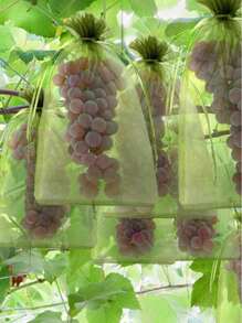 10/20 peças Sacos de Proteção de Frutas de Organza com Cordão, Filme de Isolamento de Tela Respirável para Uvas, Morangos, Limões, Cerejas, etc. - Rede de Jardinagem Leve, Tela de Pássaros para Proteger Maçãs e Outras Frutas de Pássaros, Pragas e Cervos