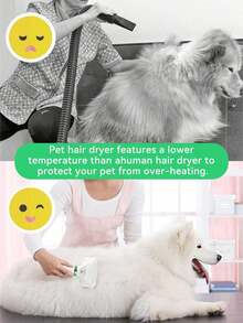Secador de pelo para mascotas con velocidad y temperatura ajustables, secador de pelo para aseo de mascotas 2 en 1 con cepillo desengrasante, secador de pelo para perros en el hogar, para perros y gatos pequeños y medianos, herramientas de belleza para mascotas - Verde - Ver 6