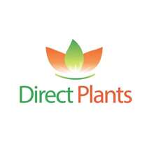 Direct Plants Physocarpus Lady In Red Leaf Shrub Plant Supplied In A 9cm Pot - Multicolor - View 8