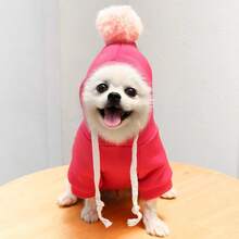 Warm Dog Winter Clothes Cute Fruit Dog Coat Hoodies Fleece Pet Dogs Costume French Bulldog Chihuahua Ropa Para Perro(Green,XS) - 1 玫瑰紅 - 查看 2