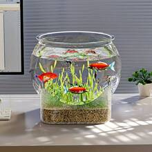 Pecera circular transparente, acuario de escritorio pequeño antiderrames para pez de colores, pecera pequeña para paisajismo de peces de colores para oficina, sala de estar, hogar, acuario transparente y creativo antiderrames - transparente - Ver 3