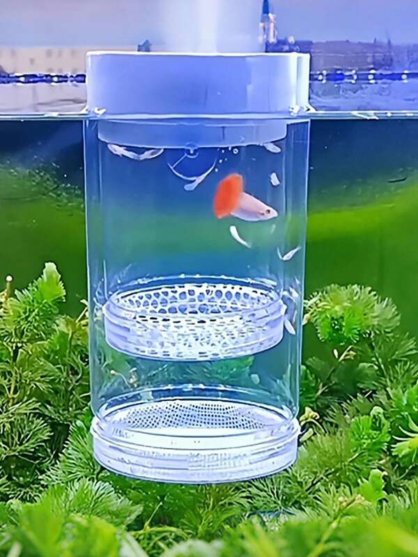 1pc Suspended Aquarium Incubator, Aquarium Accessory, Breeding Box, Transparent Floating Round Fry Isolation Box, Suitable For Mother Fish, Aquarium Breeding, Small Fry & Shrimp Separation
