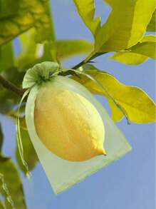 10/20 peças Sacos de Proteção de Frutas de Organza com Cordão, Filme de Isolamento de Tela Respirável para Uvas, Morangos, Limões, Cerejas, etc. - Rede de Jardinagem Leve, Tela de Pássaros para Proteger Maçãs e Outras Frutas de Pássaros, Pragas e Cervos