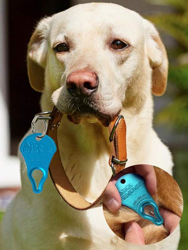 1PC/3PCS Aluminum Portable Tick Remover Tool For Pets And Humans - And Reliable, Easy To Use, Compact Design For Outdoor Adventures (Keychain & Pet Collar Clip-On)