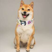Collier pour chien imprimé floral doux et confortable avec un pendentif mignon, réglable et lavable en machine