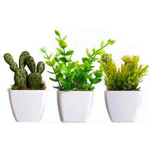 Decorative Vases Kit Small Vases With Artificial Plants Home Office Decoration - 仙人掌 - 查看 1