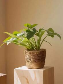 1pc Plant Pots For Indoor Plants, Seagrass Planters, Planter Basket Indoor, Flower Pots Cover, Plant Containers, Natural