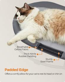 Feandrea Cat Hammock, Raised Cat Bed, Small Dog Bed, For Pets Up To 12 Kg, Free-Standing Pet Bed For Summer, With Removable Mesh, Machine Washable, Oval - Grey - View 4