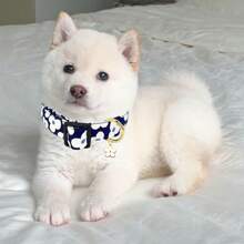 Collier pour chien floral doux et confortable avec pendentif fleuri, ajustable et lavable, mignon collier pour chien