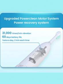 PHILIPS 飞利浦 1 件装新款钻石 3 系列 5300 系列 HX5181 电动牙刷 - 1 个刷柄 2 个刷头 1 个 USB 充电器 5 种模式 2 分钟定时刷牙提醒 送给男朋友和女朋友/情侣的礼物电动牙刷